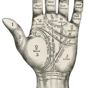 Palmistry map of the hand