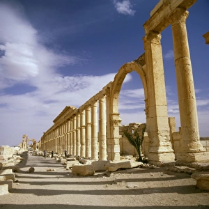 Palmyra, Syria - The Colonnade