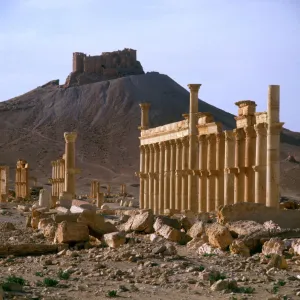 Palmyra, Syria - The Colonnade with view of Arab Castle