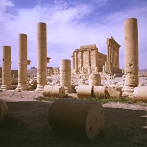 Palmyra, Syria - Columns and Temple of Bel (Baal)