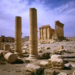 Palmyra, Syria - Columns and the Temple of Bel (Baal)