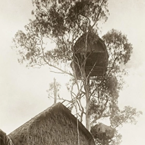 Papua New Guinea - Ekiti Village, Sogeri - Tree House