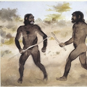 Paranthropus sp. (left) and Homo erectus (right)