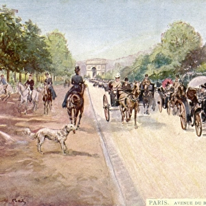 Paris / Bois Boulogne 1912