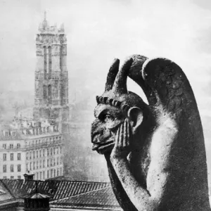 Paris Gargoyle