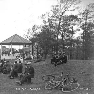 The Park, Bangor