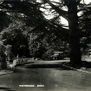 The Park, Weybridge, Surrey