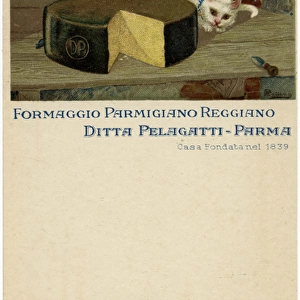 Parmesan Cheese - Advertorial Trade Postcard