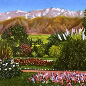 Pasadena, California, USA - Garden Scene in Winter