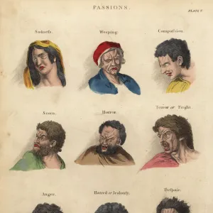 Passions from Physiognomy