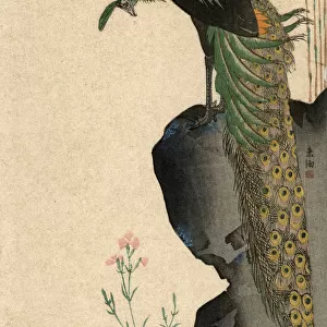 Peacock and Bamboo by Yamaguchi Soken