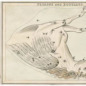 Pegasus Star Map