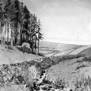 Pen and ink drawing by Harold Auerbach, rural scene