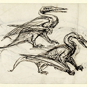 Pen & ink sketch of pterodactyl