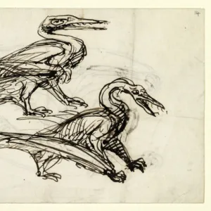 Pen & ink sketch of pterodactyl