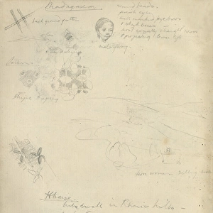 Pencil sketches, including womans head