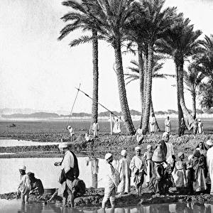 People on the banks of the River Nile, Egypt