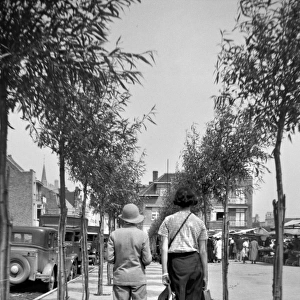 Two people walking along a tree-lined pavement