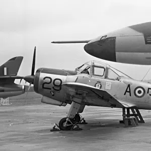 Percival P. 56 Provost T. Mk. 1 7696M