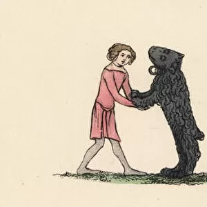Performers and trained bears, 14th century