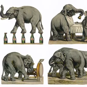 Performing Elephants
