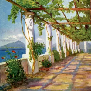 Pergola at the Villa San Michele above Anacapri, Italy