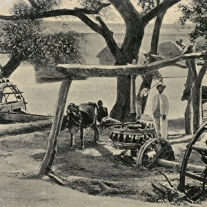 Persian Waterwheel on the Indus, Pakistan