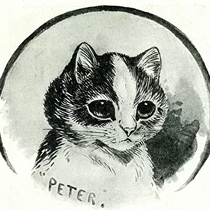 Peter the Cat by Louis Wain