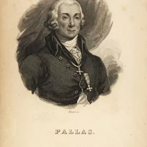 Peter Simon Pallas (1741-1811), German zoologist