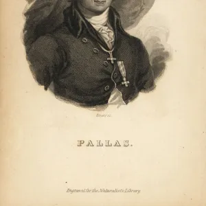 Peter Simon Pallas (1741-1811), German zoologist