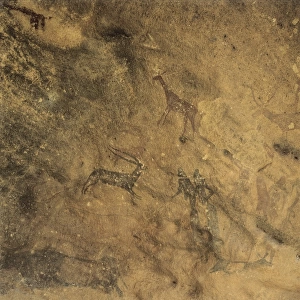 Phallic dance. Mesolithic art. Cave. SPAIN. Barcelona
