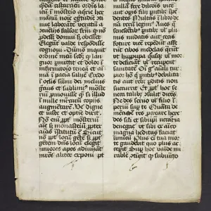 Philosophical Text (Fragment)