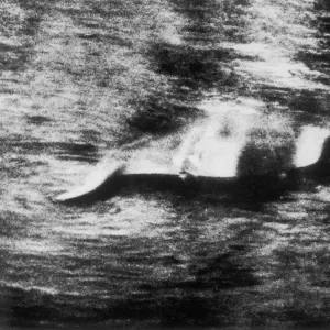 Photograph of the Loch Ness Monster