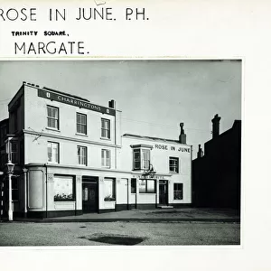 Photograph of Rose In June PH, Margate, Essex
