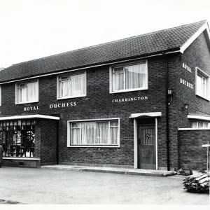 Photograph of Royal Duchess PH, Stepney (New), London