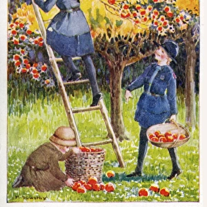 Picking Apples by Millicent Sowerby
