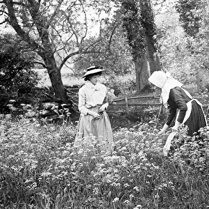 Picking daisies, Victorian period