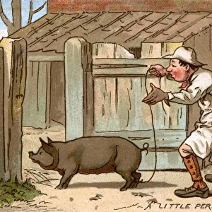 Pig farmer persuading a pig to move