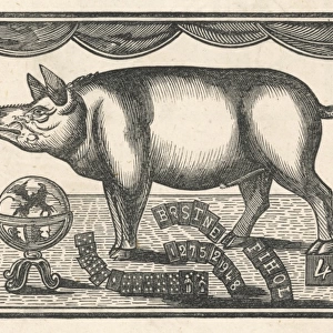 Pig / Learned Toby 18C