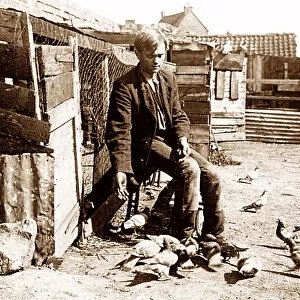 Pigeon Fancier early 1900s
