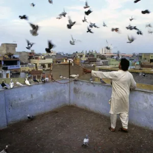 Pigeon fancier - kabooter baz - Old Delhi, India