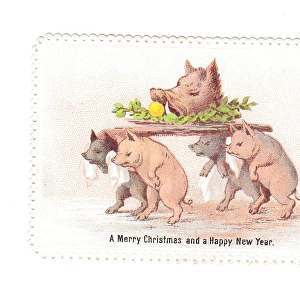 Pigs with boars head on a Christmas card