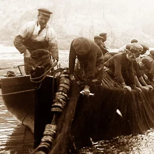 Pilchard fishing in Cornwall with Seine net