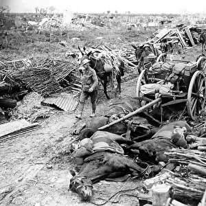 Pilckem Ridge Battlefield Ypres Belgium 31st July 1917 WW1