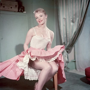 Pin-Up in Pink Skirt