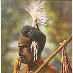 Pipe Player of the Solomon Islands