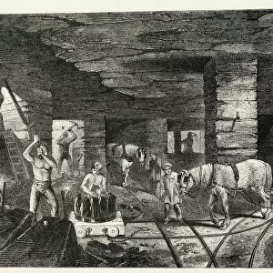 PIT PONIES / 1853