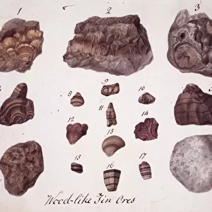 Plate 1 from Specimens of British Minerals? vol. 1 by P. Ras