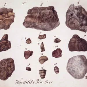 Plate 1 from Specimens of British Minerals? vol. 1 by P. Ras