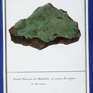 Plate 37 from Mineralogie